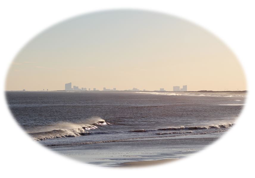 Long Beach Island Real Estate | LBI NJ Real Estate | Brian Delpriora